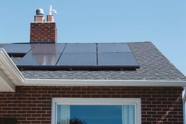 PEST CONTROL DUNSTABLE, Bedfordshire. Services: Solar Panel Bird Proofing. Ensure the Longevity of Your Solar Panels with Local Pest Control Ltd's Professional Bird Proofing Services in Dunstable